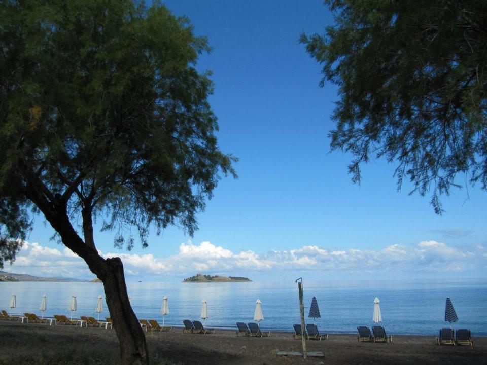 Coastline Villa Petra  Bagian luar foto