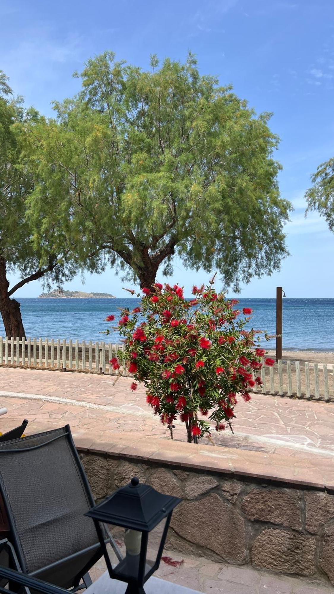 Coastline Villa Petra  Bagian luar foto